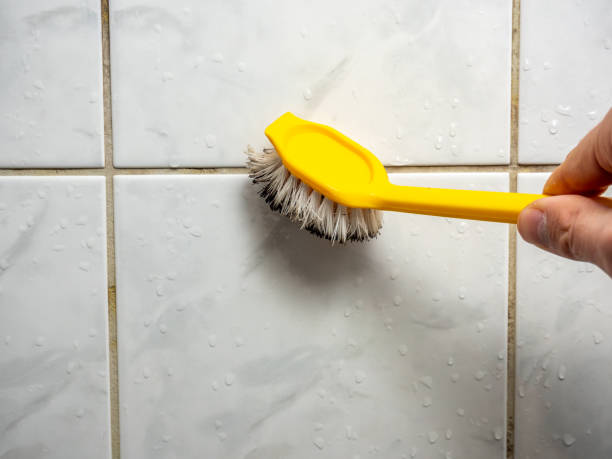 Best Fast Mold Removal  in Patterson, LA