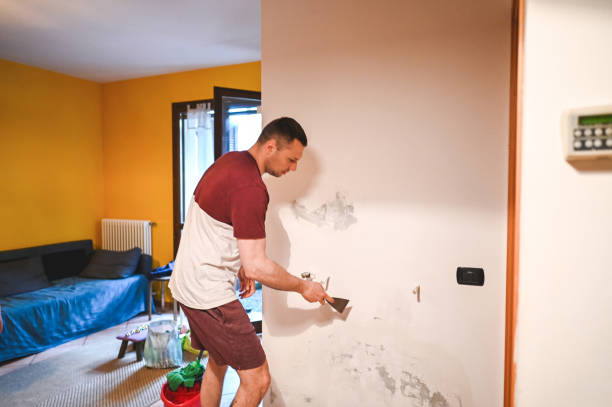 Mold Removal and Inspection in Patterson, LA